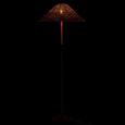 Floor Lamp - Natural and Black - Rattan and Metal