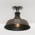 Ceiling Light - Brushed Silver Metal