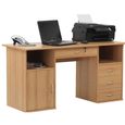 Dallas Computer Desk - AW12289