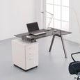 Cleveland Workstation - Smoked Grey Glass - AW23377-GY