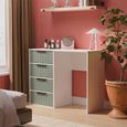 Fluted Desk - 4 Drawer - Reed Green and White Matt