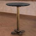 Revelin Bar Table - Round - Black - Brushed Gold - Mango Wood Top