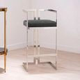 Azalea Barstool - Set of 2 - Black Velvet Fabric with Silver Metal