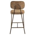 Xenia Counter Stool - Set of 2 - Brandy Fusion - Fabric and Metal