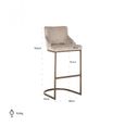 Bolton Khaki Fabric and Brushed Gold Barstool with Back (Set of 2)