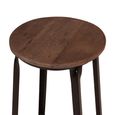 Industrial Barstool - Set of 2 - Round - Brown and Black - Wood and Metal