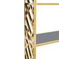 Horizon Bookcase - Black Glass with Gold Metal
