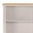 Windermere Painted Bookcase - 2 Door - Oyster Grey