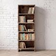 Cube Goa Petite CD DVD Rack - Rustic Sheesham