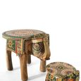Kilomeni Coffee Table - Mango Wood - Painted - Elephant Style - Set of 2