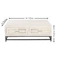 Clearance - Geo 2 Drawer Rectangle Coffee Table White Mirrored Mango Wood Distressed White Wash thumbnail 5