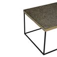 Akola Coffee Table - Glass and Gold