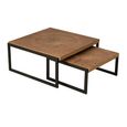 Dos Coffee Table - 2 Tier - Natural and Black - Wood and Metal