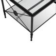Axis Coffee Table - Clear Glass with Black Metal