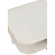 Molly Exotic Coffee Table - Storage - Square - White and Natural - Rattan and Wood