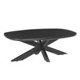 Jesper Coffee Table - Oval - Large - Black - Mango Wood