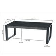 Norris Coffee Table - Large - Charcoal - Rustic Mango Wood