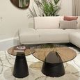 Brix Mylon Coffee Table - Abstract - Brown - Glass and Metal