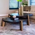 Alexander Jones Coffee Table - Round - Set of 2 - Charcoal and Brass