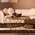 Jodi Coffee Table - Octagonal - Elm Wood and Gold Metal