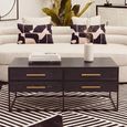 Judd Coffee Table - Black Oak - 4 Drawer