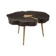 Asamra Coffee Table - Black Acacia Wood Log with Gold Legs