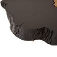Asamra Coffee Table - Black Acacia Wood Log with Gold Legs