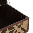 Aztec Coffee Table - Brown - Storage Trunk