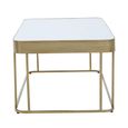 Ella Coffee Table - Mirrored with Gold Metal
