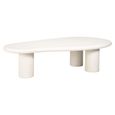 Bloomstone White Lime Plaster Curved Large Coffee Table