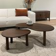 Brix Nubi Coffee Table - Kidney - Set of 2 - Chestnut - Mango Wood