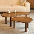 Brix Nubi Coffee Table - Kidney - Set of 2 - Natural - Mango Wood