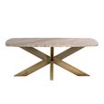 Bottega Coffee Table - Spider Legs - Blush Beige - Marble and Metal