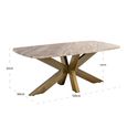 Bottega Coffee Table - Spider Legs - Blush Beige - Marble and Metal