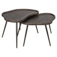 Bean Coffee Table - Set of 2 - Abstract - Brunzae - Metal