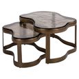 Fairfield Coffee Table - Set of 2 - Abstract - Antique Brass - Glass and Metal