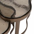 Fairfield Coffee Table - Set of 2 - Abstract - Antique Brass - Glass and Metal