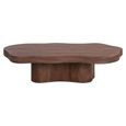 Sherman Coffee Table - Low - Abstract - Spicebrown - Mango Wood