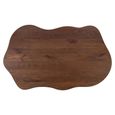 Sherman Coffee Table - Low - Abstract - Spicebrown - Mango Wood