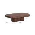 Sherman Coffee Table - Low - Abstract - Spicebrown - Mango Wood