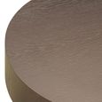 Bogor Set of 2 Bronze Coffee Tables