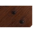 Scala Coffee Table - Brown and Black - Ash Wood and Metal