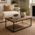 Scala Coffee Table - Brown and Black - Ash Wood and Metal