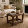 Coffee Table - Rustic Brown - Petrified Wood