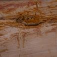 Coffee Table - Rustic Brown - Petrified Wood
