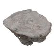 Hand Carved Coffee Table - Abstract - Turtle Base - Natural - Elm Wood