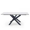 Bradley Coffee Table - Spider Leg - White and Black - Ceramic and Metal