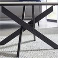 Bradley Coffee Table - Spider Leg - White and Black - Ceramic and Metal
