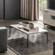 Claire Coffee Table - Pearl Line Eco Veneer High Gloss and Black