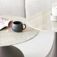 Pienza Coffee Table - Set of 2 - Round - Khaki - Glass and Metal